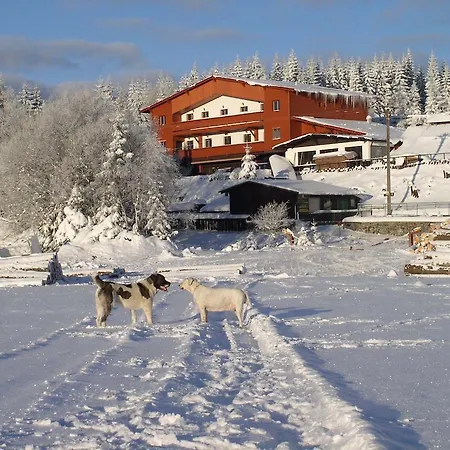 H Gasthof 3*